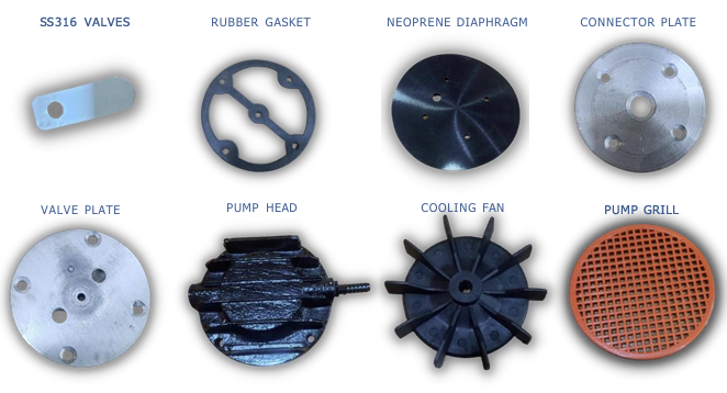 GFS Series Pump Section View